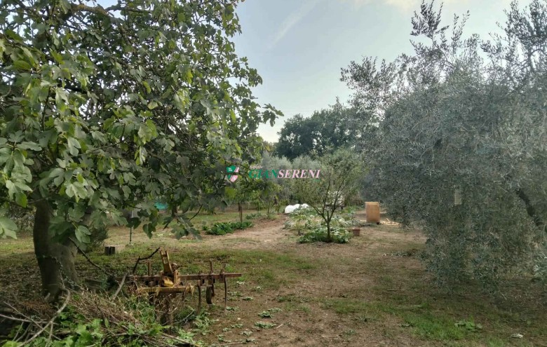 Agenzia Giansereni - 