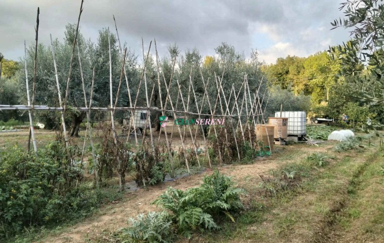 Agenzia Giansereni - 