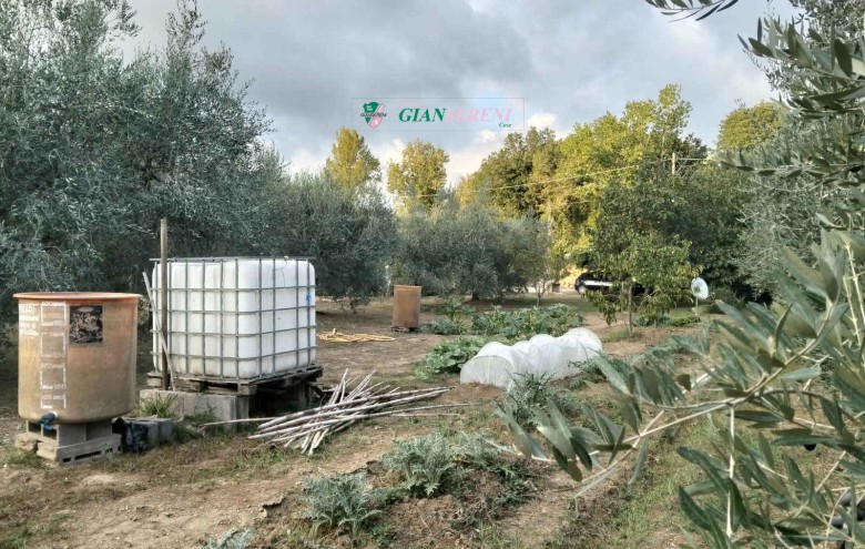 Agenzia Giansereni - 