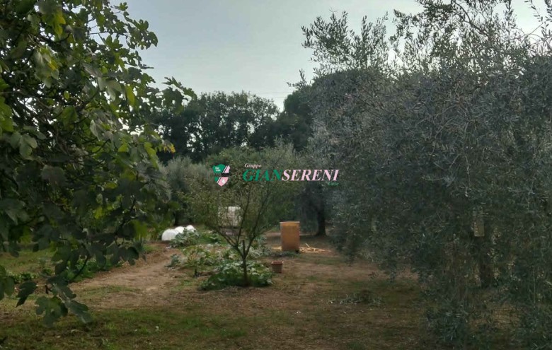Agenzia Giansereni - 