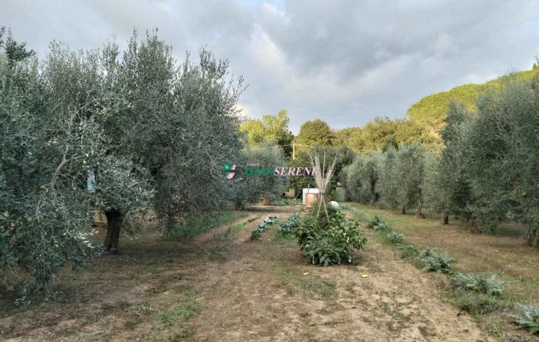 Agenzia Giansereni - 