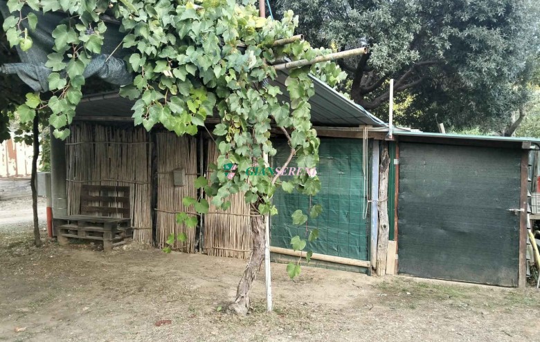 Agenzia Giansereni - 