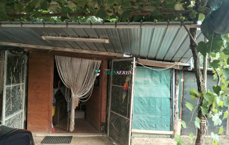 Agenzia Giansereni - 