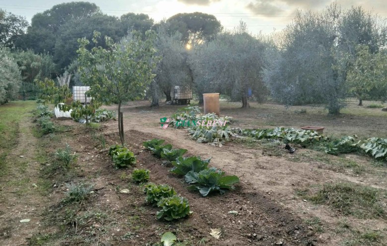Agenzia Giansereni - 