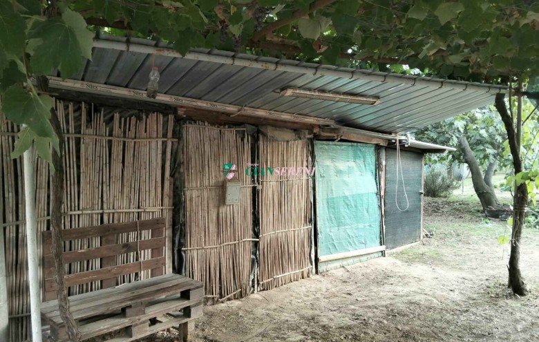Agenzia Giansereni - 
