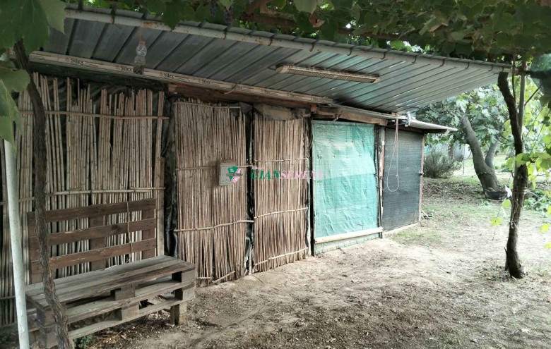 Agenzia Giansereni - 