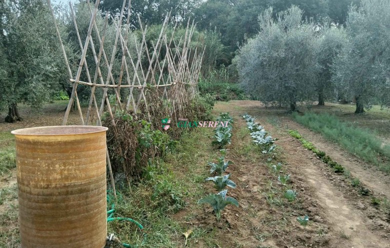 Agenzia Giansereni - 