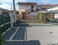Pegasus - 