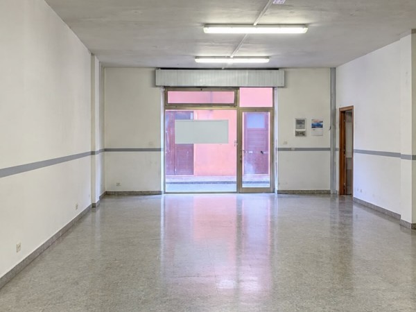 Massa - Loc. Borgo del Ponte: