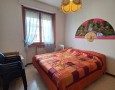 Pegasus - 