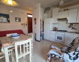Pegasus - 