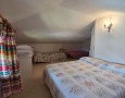 Pegasus - 