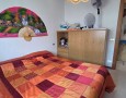 Pegasus - 