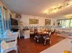 Villetta Plurifamiliare in affitto, Forte Dei Marmi - Caranna -  10