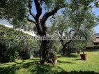 Two-family Villa for rent, Forte Dei Marmi - Centrale -  3