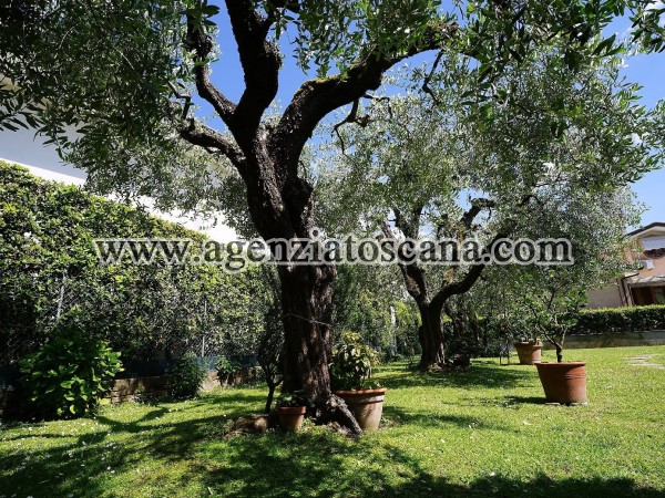 Two-family Villa for sale, Forte Dei Marmi - Centrale -  3