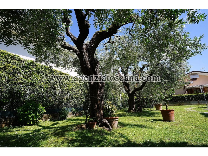 Two-family Villa for rent, Forte Dei Marmi - Centrale -  3