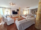 Villa in affitto, Forte Dei Marmi -  6