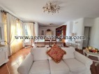 Villa in affitto, Forte Dei Marmi -  7