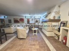 Villa Bifamiliare in affitto, Forte Dei Marmi - Caranna -  15
