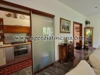 Villa in affitto, Forte Dei Marmi - Centrale -  
 10