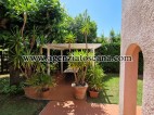 Villa for rent, Forte Dei Marmi - Centrale -  5