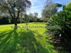 Villa in affitto, Forte Dei Marmi - Centrale -  8