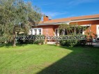 Villa in affitto, Forte Dei Marmi - Centrale -  6