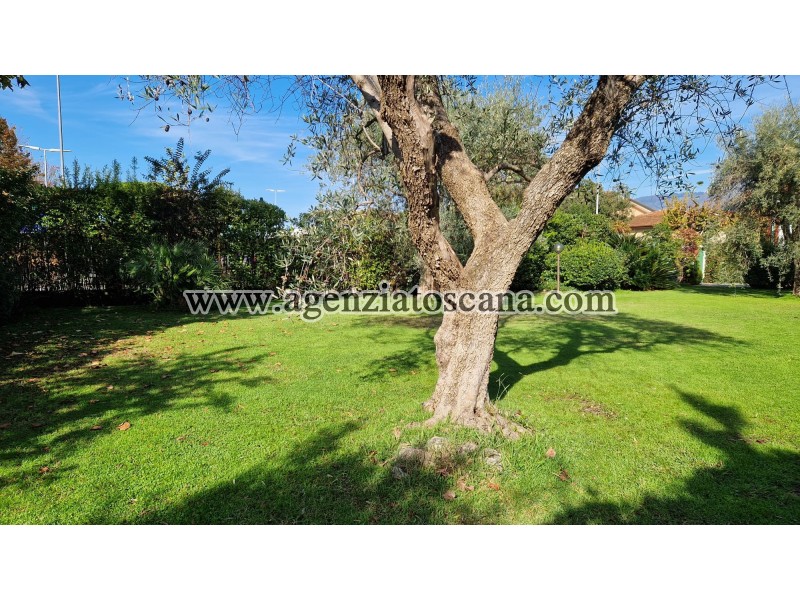 Villa in affitto, Forte Dei Marmi - Centrale -  5