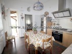 Two-family Villa for rent, Forte Dei Marmi - Centrale - 5