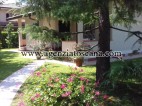 Villa for rent, Forte Dei Marmi - Caranna -  1