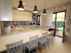 Villa for rent, Forte Dei Marmi - Caranna -  13