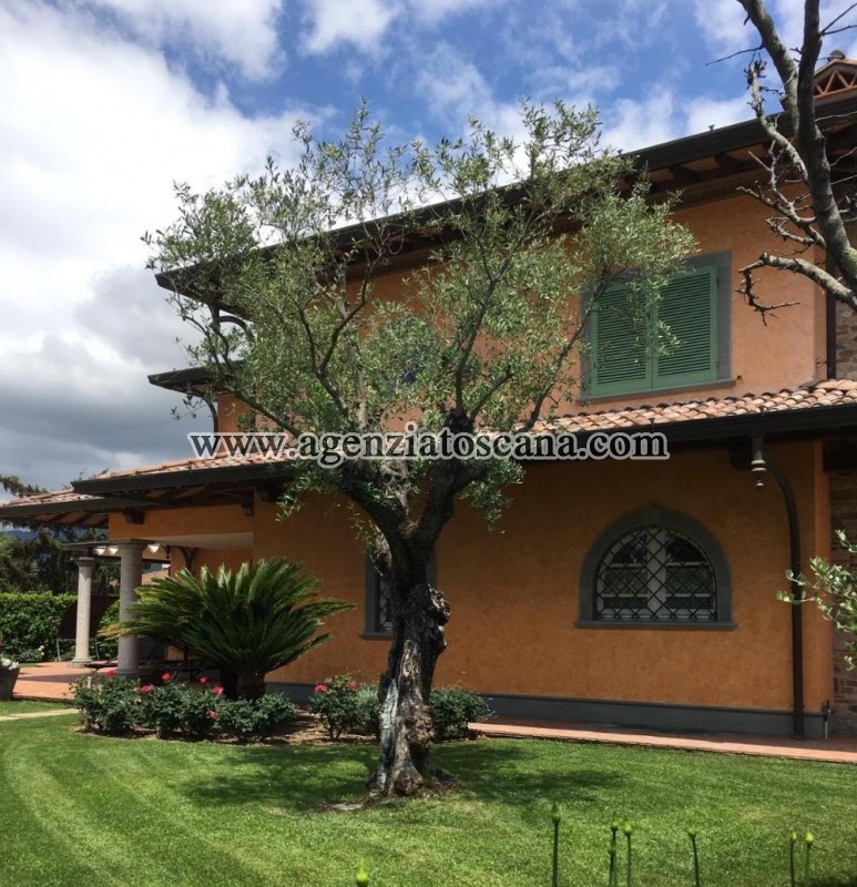 Villa With Pool for rent, Forte Dei Marmi - Vittoria Apuana -  2