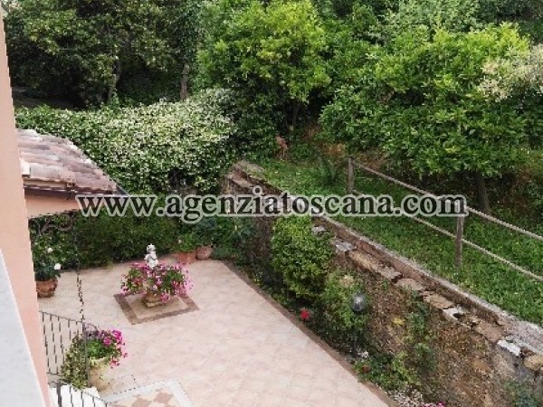 Two-family Villa for rent, Seravezza - Prima Collina -  6