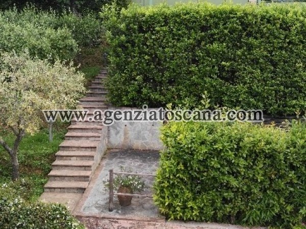 Two-family Villa for rent, Seravezza - Prima Collina -  16