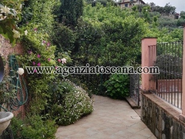 Two-family Villa for rent, Seravezza - Prima Collina -  17