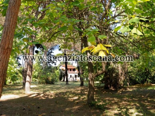 Villa for rent, Massa - Poveromo -  4