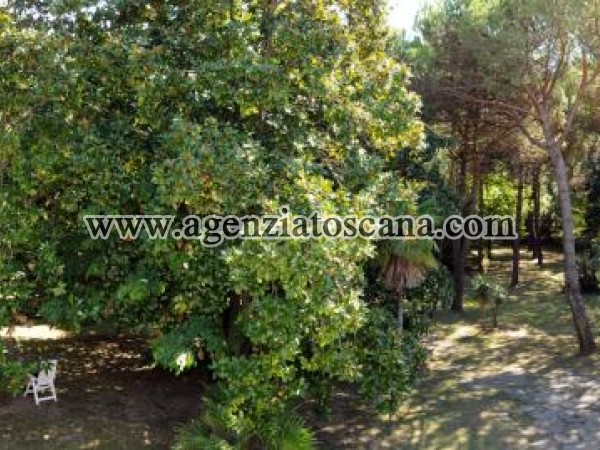 Villa for rent, Massa - Poveromo -  14