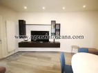 Two-family Villa for sale, Forte Dei Marmi - Centrale -  6
