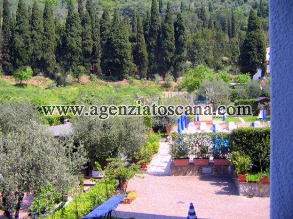 Colonica - Azienda Agricola - Agriturismo in vendita, Massarosa -  7