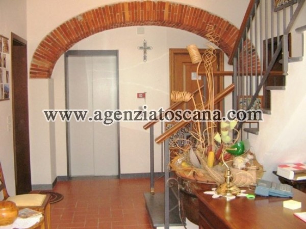 Colonica - Azienda Agricola - Agriturismo in vendita, Massarosa -  9