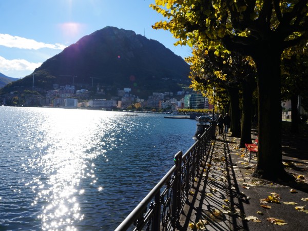 Ref. 475 - Shop for Sale in Lugano