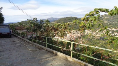 Appartamentoin Affitto, Vallebona - Periferia - Riferimento: at101