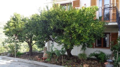 Appartamentoin Affitto, Vallebona - Periferia - Riferimento: at101