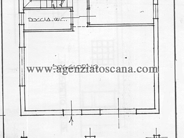 Two-family Villa for rent, Forte Dei Marmi - Vaiana -  37