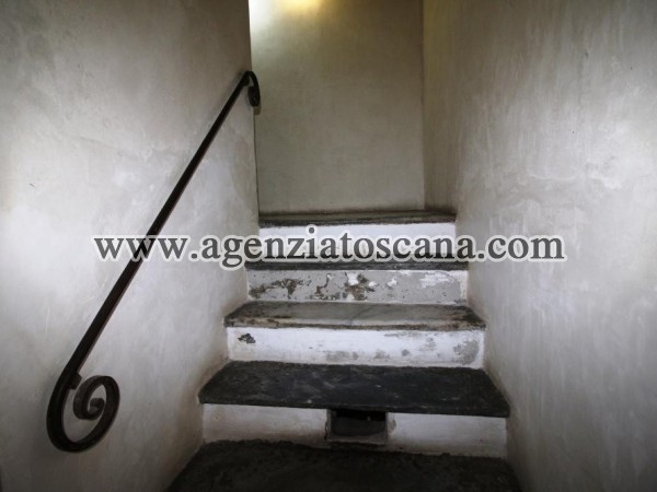 Апартаменты за арендная плата, Seravezza - Pozzi -  5