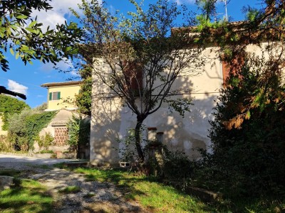 Casa Semi Indipendente In Vendita, Capannoli - Riferimento: 666-foto18