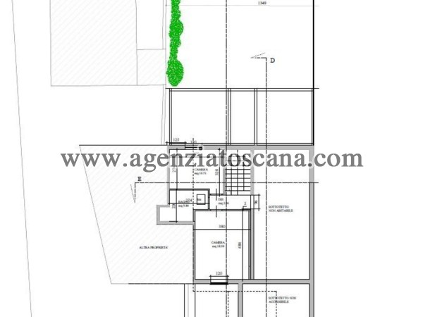 Two-family Villa for rent, Forte Dei Marmi - Centrale -  3