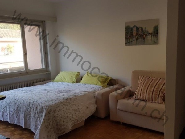 Ref. 561A - Apartment for Rent in Castagnola-cassarate-ruvigliana