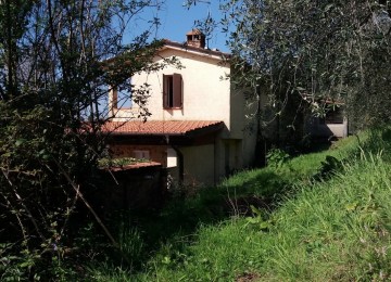 Vista mare con piscina!